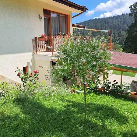 Луксозна вила Katerina Yundola