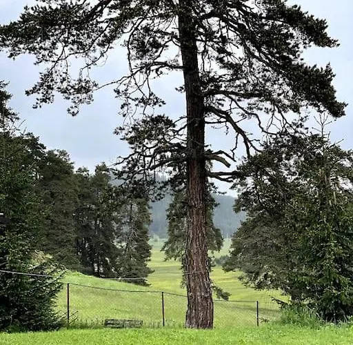 Луксозна вила Katerina Yundola