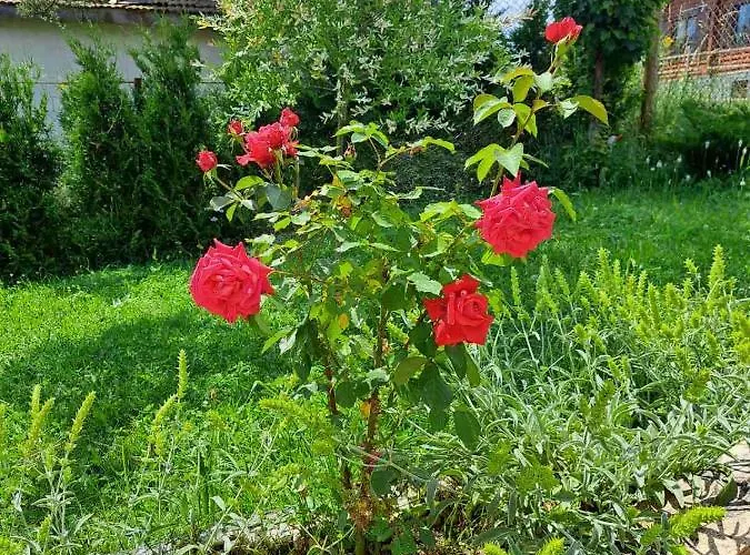 Луксозна вила Katerina